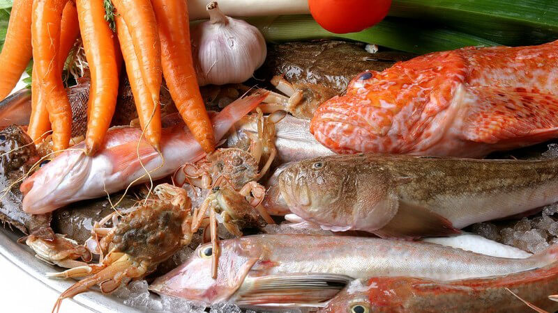 Verschiedene Fischarten mit Karotten
