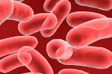 Neue Entdeckung zur Resistenz von Bakterien - Resistente Keime schützen ihre Gruppe