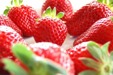 Bio-Erdbeeren - Gesünder und besser für den Boden dank Antioxidantien