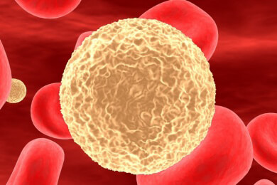 Ein Blick auf den Anfang des Lebens - neues Messgerät durchleuchtet Zellen