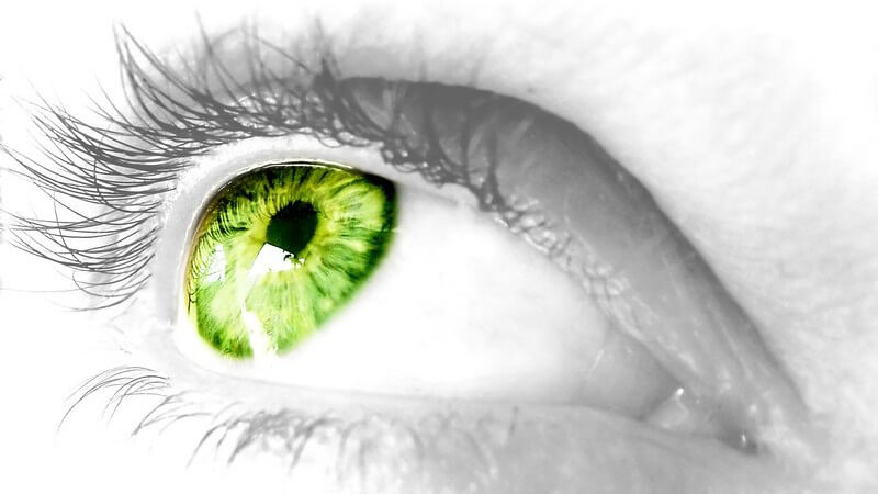 Nahaufnahme schwarz weiß, rechtes Auge in leuchtendem Grün schaut nach rechts oben