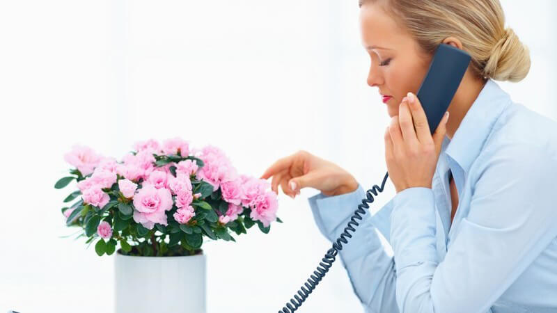 Frau sitzt am Schreibtisch und telefoniert, vor ihr Blumen im Blumentopf