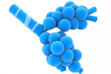 Mit Lungenbläschen auf einem Plastikchip soll Wirkung neuer Medikamente getestet werden