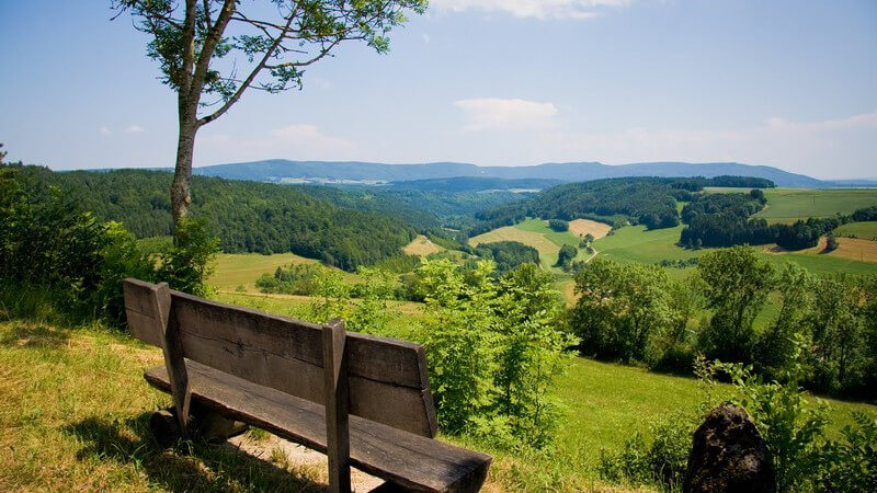 Holzbank im grünen mit Ausblick auf Tal, Schwarzwald