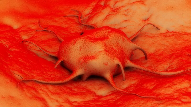 Grafik einer Krebszelle auf orange-rotem Untergrund