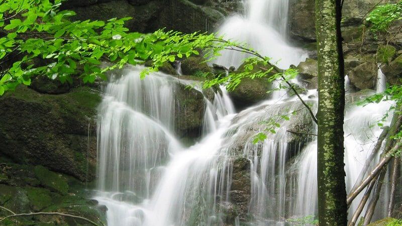 Naturaufnahme Wasserfall im Wald