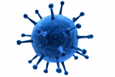 Der vermutlich zweitgrößte Virus der Welt lebt in unsren Meeren