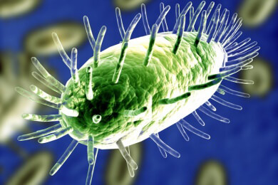 Nie wieder Krankheiten durch Viren? Forscher sind dem Durchbruch nahe