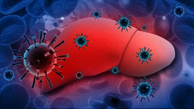 3-D-Grafik mit rot-leuchtender Leber im Zentrum, umgeben von Hepatitis-Viren und Blutkörperchen