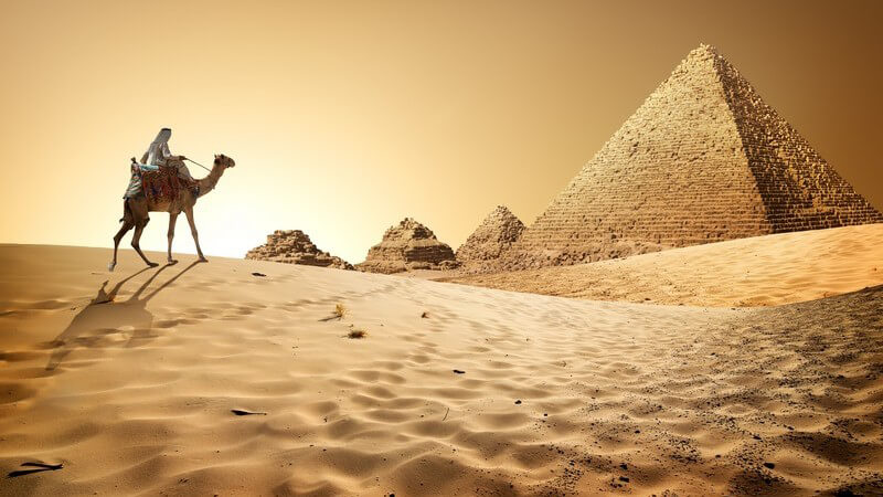 Kamel reitet im Wüstensand auf Pyramiden zu
