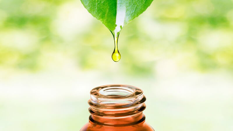 Ein Tropfen Öl tropft von einem grünen Blatt in ein Arzneifläschchen
