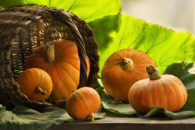Die gesunde Pizza - mit Kürbis und Gemüse