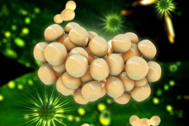 Negative Auswirkungen der Fettzunahme hängt von Körperregion ab