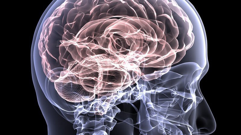 Grafik eines Röntgenbilds des menschlichen Schädels mit hervorgehobenem Gehirn auf schwarzem Hintergrund