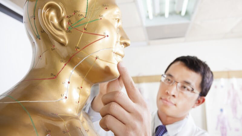 Akupunktur-Model, chinesischer Arzt berührt Akupunktkur-Punkt