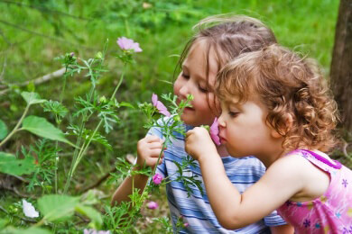 Geruchssinn des Nachwuchs hängt von der Ernährung der Mutter ab