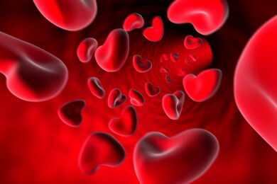 Blutzucker wird durch bestimmten Rezeptor kontrolliert