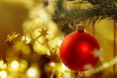 Der teuerste Weihnachtsbaum der Welt wird wohl niemals Schnee sehen