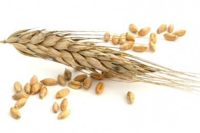 Mit Weizenkleie gegen Hautprobleme