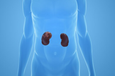 Übergewicht wird Rauchen als Krebs-Hauptursache ablösen