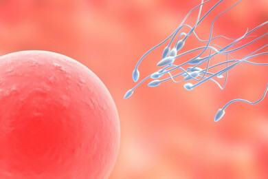 Reproduktionsmedizin soll jungen Krebspatienten mit Kinderwunsch helfen