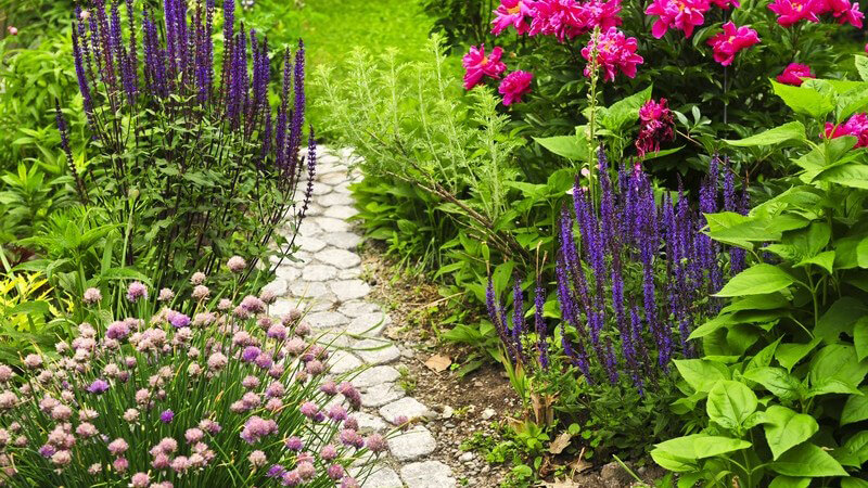 Steinweg durch Garten, am Wegesrand verschiedene bunte Blumen