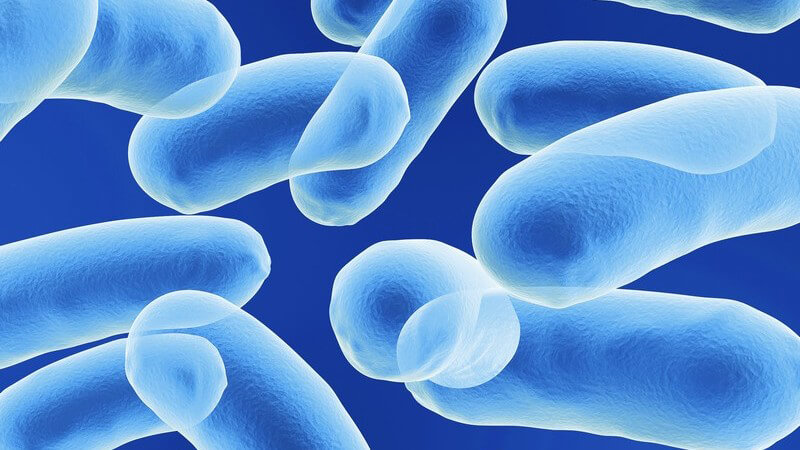 Mikroskopisches Bild von Bakterien auf blauem Hintergrund
