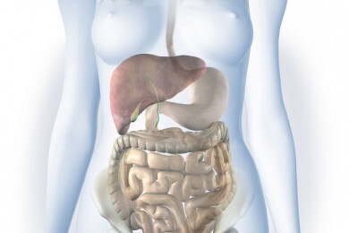 Fäkaltransplantationen könnten Antibiotika im Kampf gegen gefährliche Keime ersetzen