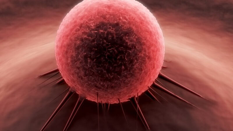 3D Grafik rote Krebszelle