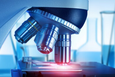 Neue Leberzellen aus entsprechendem Gewebe gezüchtet