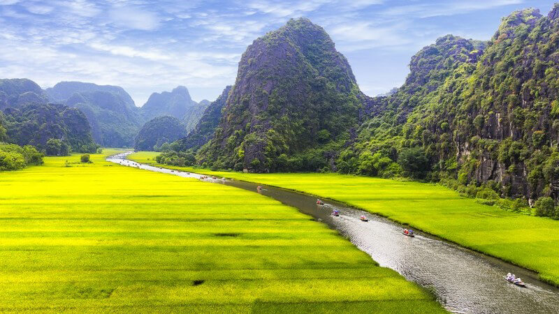 Reisfelder an einem langgezogenen Fluss ziehen sich durch eine Landschaft bei Ninh Binh in Vietnam