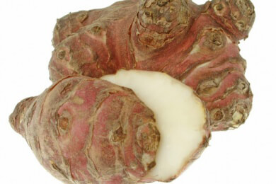 Topinambur - schmeckt gut und ist eine bewährte Heilpflanze