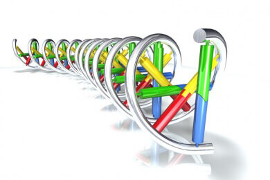 Fortschritt im Kampf gegen Schizophrenie - Forscher haben ein auslösendes Gen entdeckt