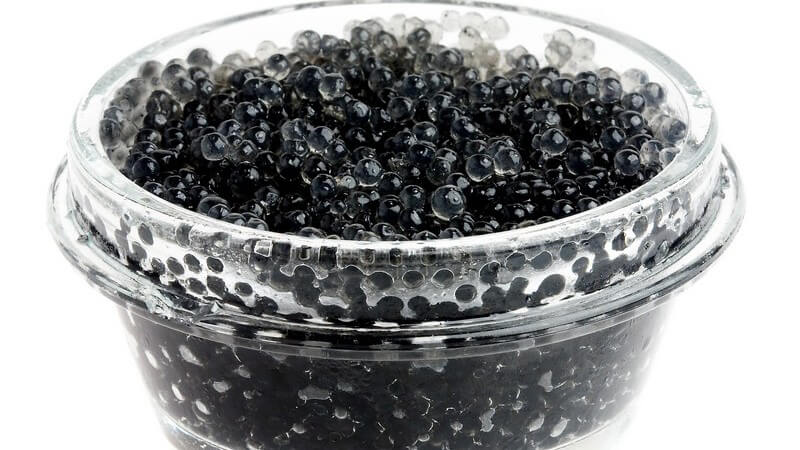 Schwarzer Kaviar in Glasschale auf weißem Hintergrund