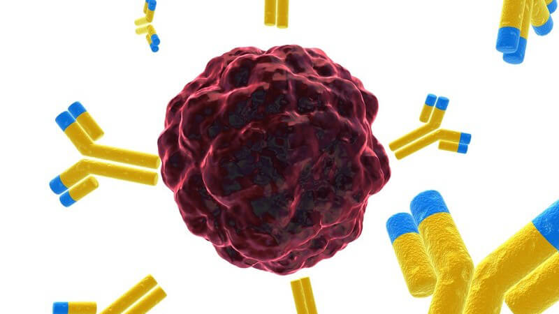 3D Grafik dunkelrote Krebszelle mit Antikörpern
