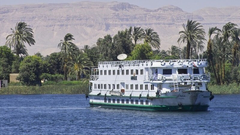 Weiß-Grünes Kreuzfahrtschiff auf blauem Wasser vor grünen Palmen