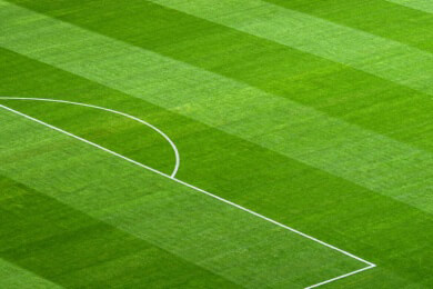 Schlechter Bundesliga-Rasen - DFL setzt Experten-Kommission ein