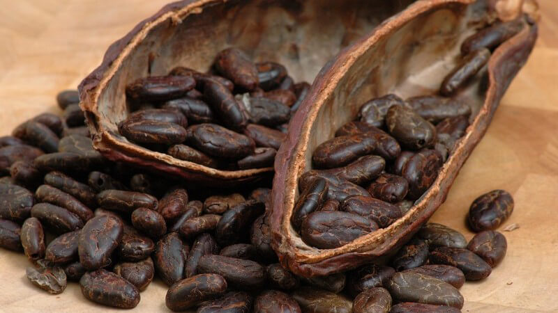Nahaufnahme Kakaobohnen