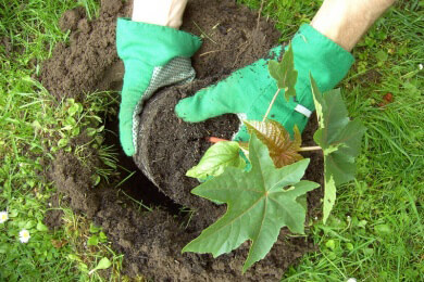 Gartenarbeit fördert die körperliche und auch psychische Gesundheit