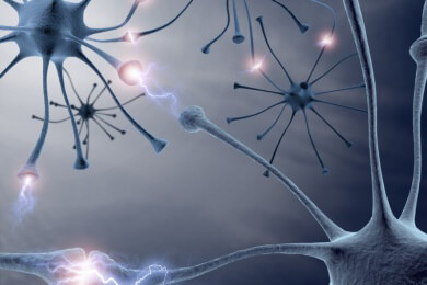 Bessere Motorik - Der Neurotransmitter Noradrenalin hilft nach einem Schlaganfall