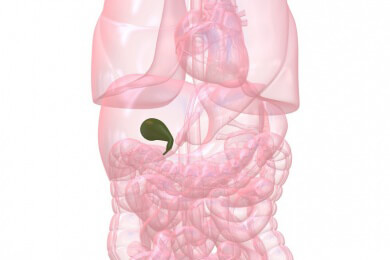 Früherkennung von Gallenkrebs - neues Verfahren macht eine schnellere Diagnose möglich