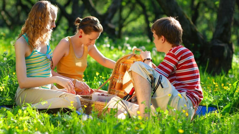 2 Mädchen und ein Junge auf einer Wiese beim Picknick vor einem Wald mit Picknickkorb