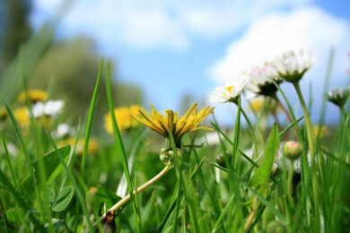 Erst im Jahr 2102 beginnt der Frühling wieder am 21. März