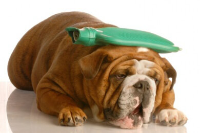 Die Wärmetherapie - Altbewährtes Wundermittel