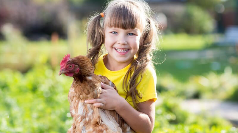 Mädchen in gelbem Shirt hält im Vorgarten ein Huhn auf dem Arm
