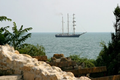 Orcas auf Robbenjagd