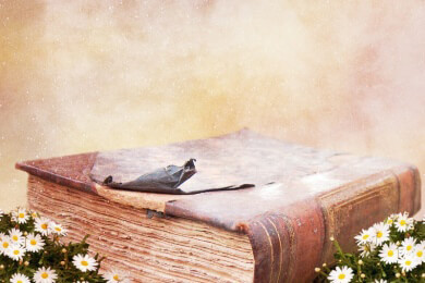 Der berühmte Zappel-Philipp aus dem Struwelpeter-Buch wurde später Arzt in Frankfurt