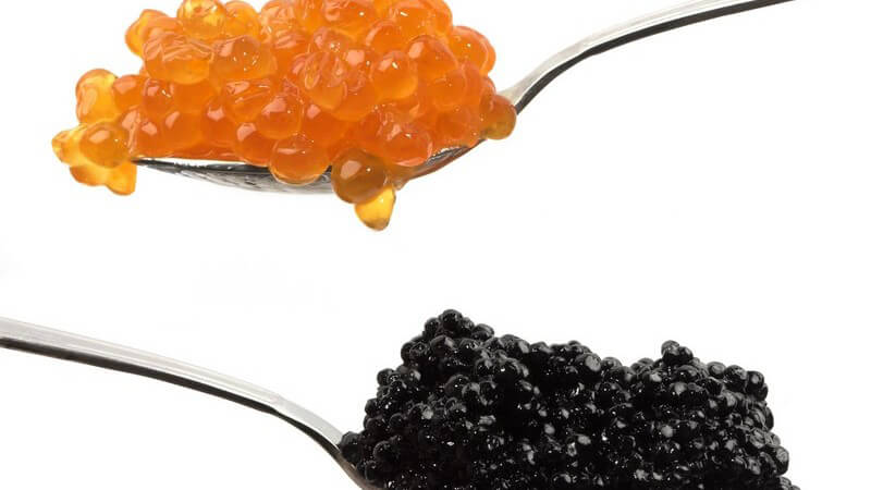 Nahaufnahme roter und schwarzer Kaviar auf Löffeln, weißer Hintergrund