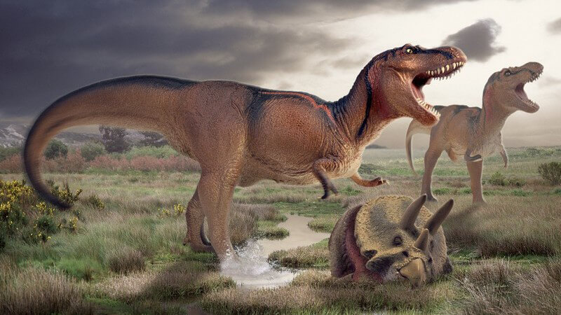Grafik Dinosaurier, Tyrannosaurus