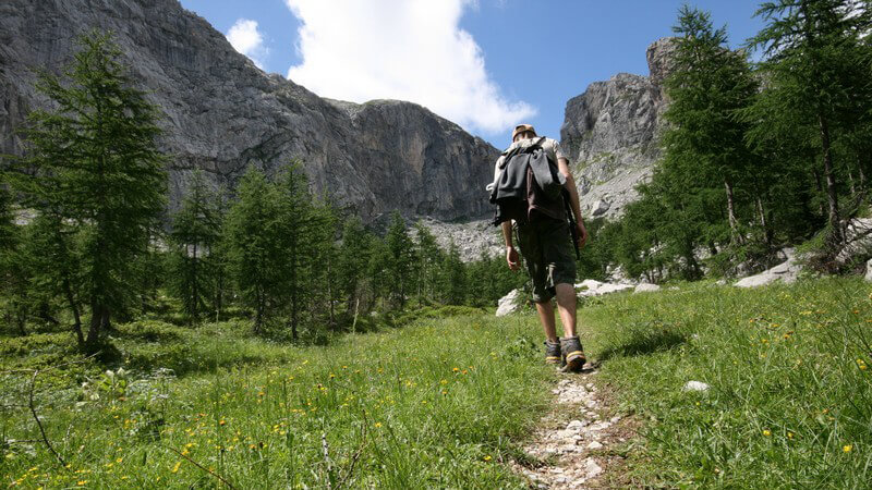 Einzelner Wanderer auf Trampelpfad mit Berg und Baum-Panorama und blauem Himmel